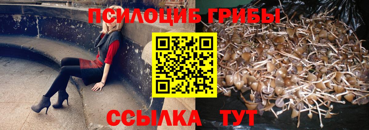 Галлюциногенные грибы GOLDEN TEACHER Астрахань
